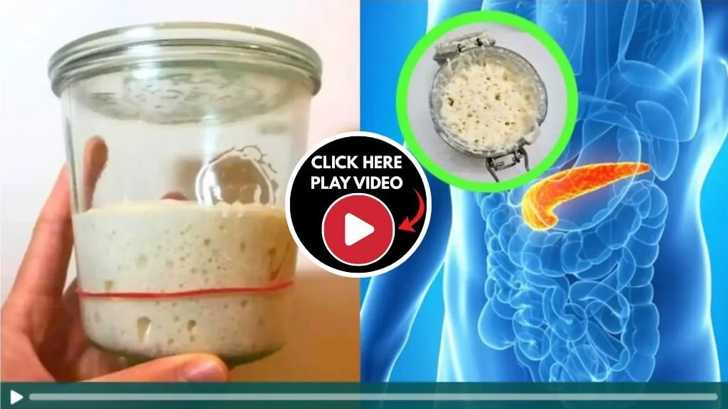 Video Presentation
